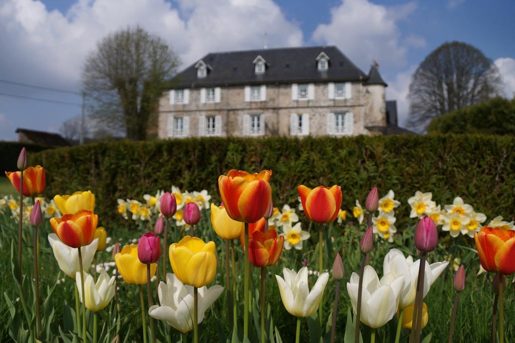 Chateau De Savennes - Caveau De Sabrage ภายนอก รูปภาพ
